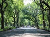 New York Central Park